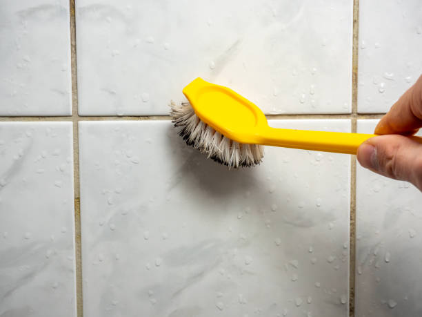 Trusted Ione, CA Mold Removal Experts