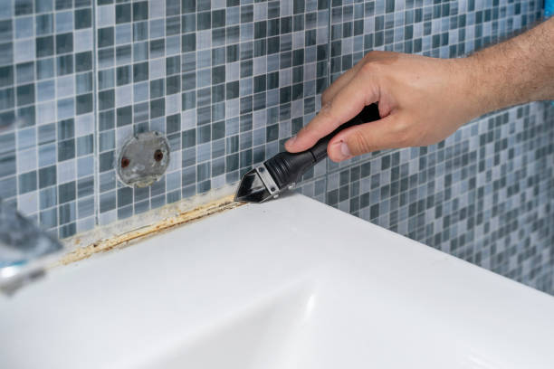 Best Mold Testing  in Ione, CA