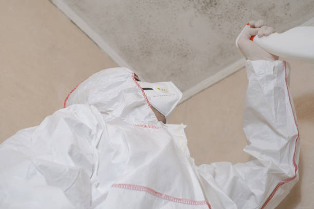 Best Attic Mold Removal  in Ione, CA