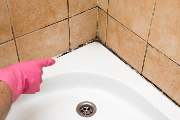 Best Residential Mold Removal  in Ione, CA